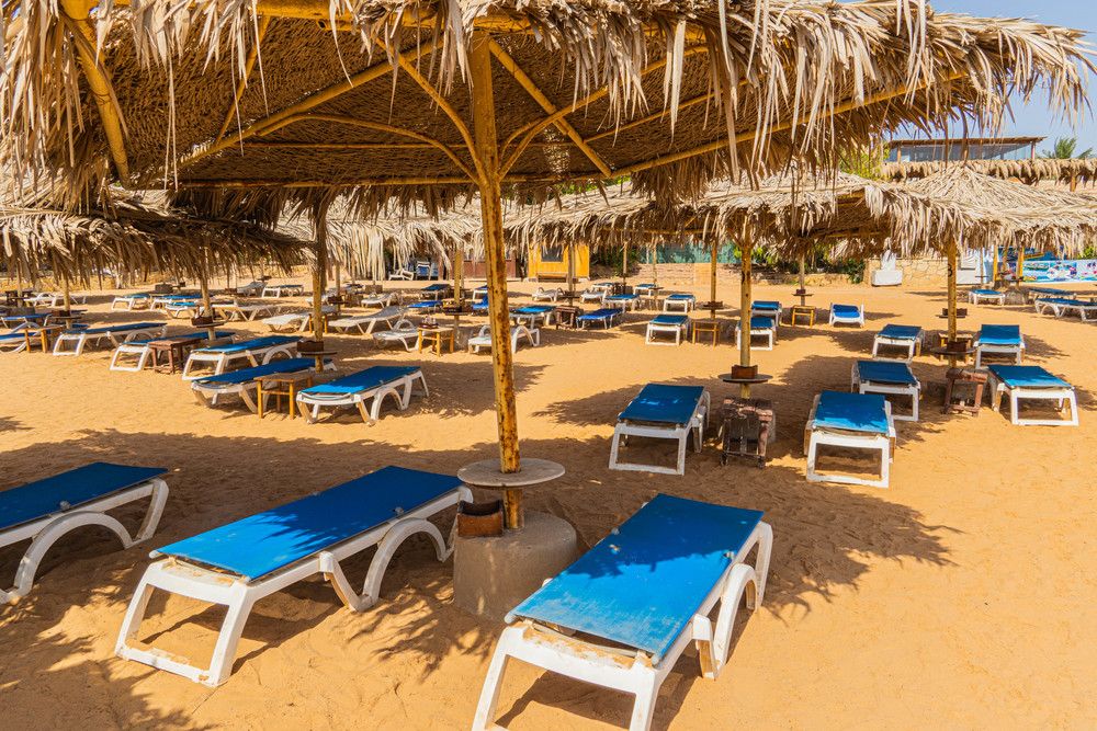 SHARM REEF - 46