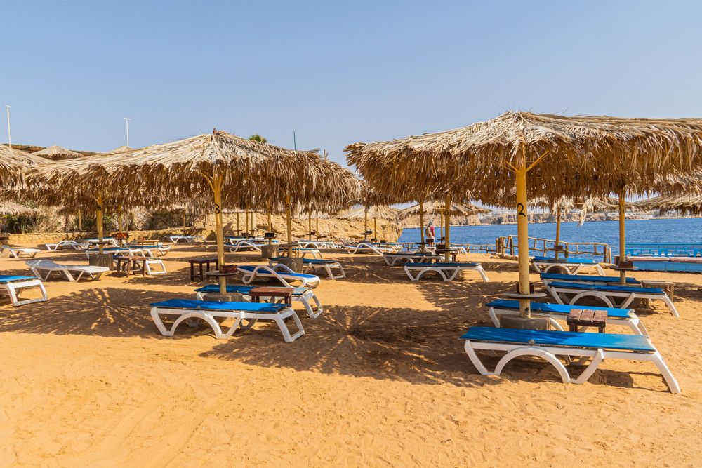 SHARM REEF - 45