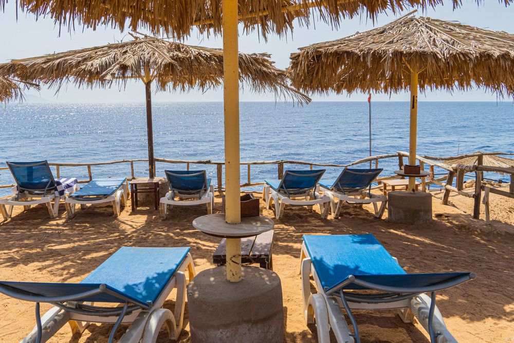 SHARM REEF - 43