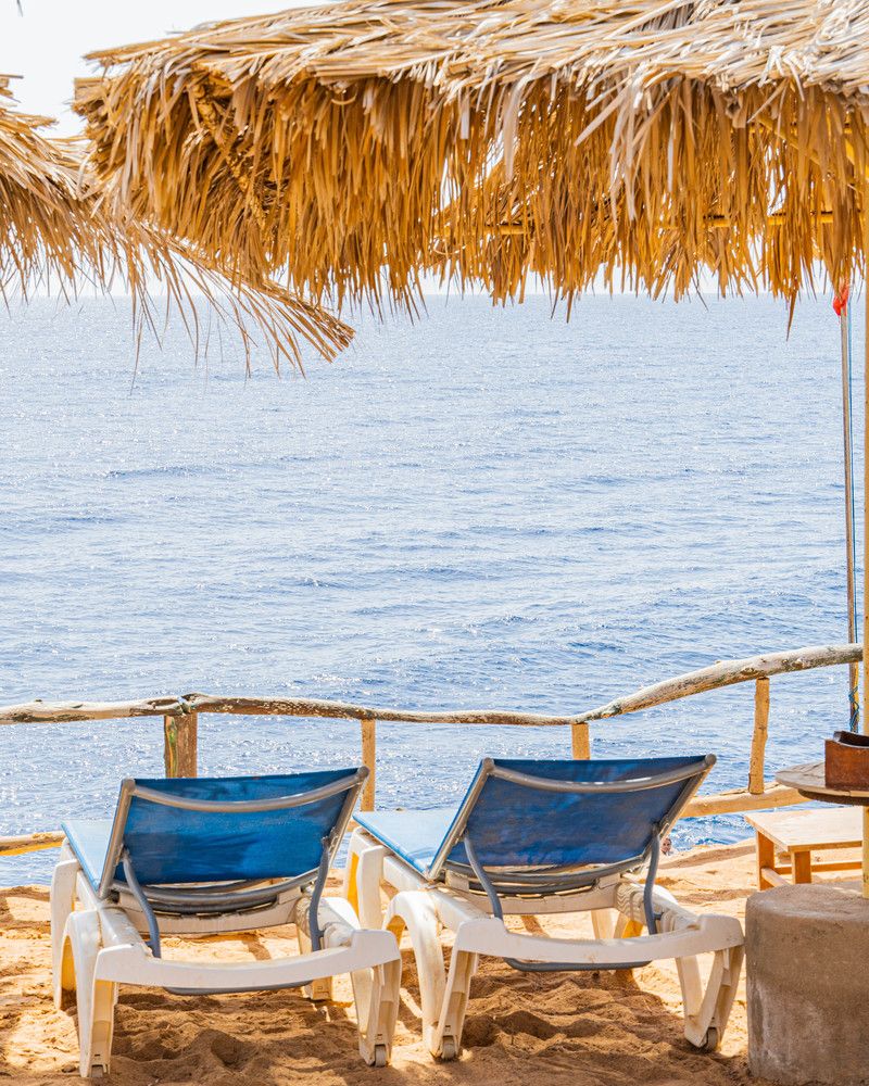 SHARM REEF - 42