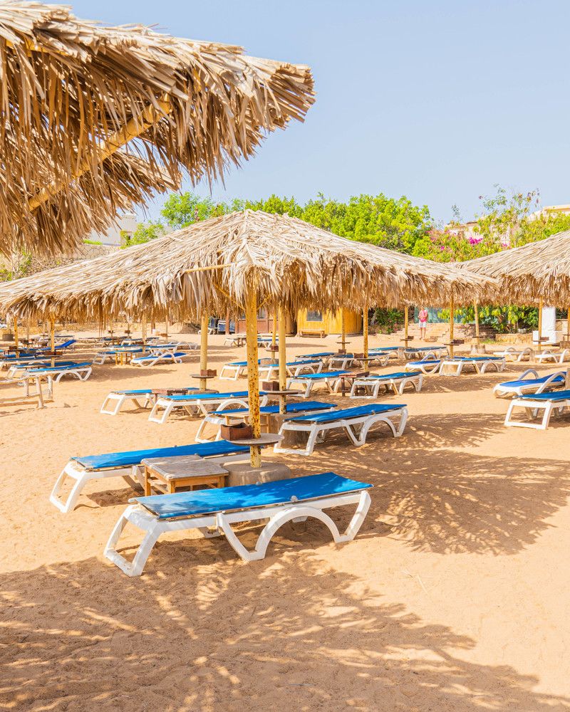 SHARM REEF - 40