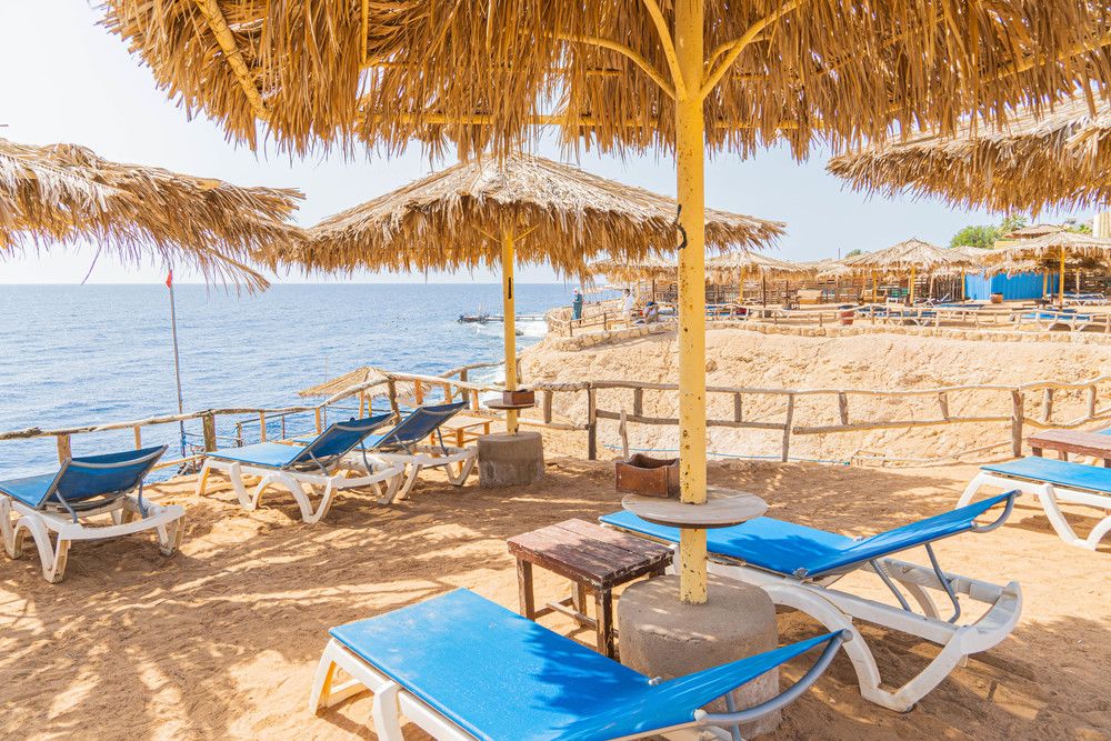 SHARM REEF - 39