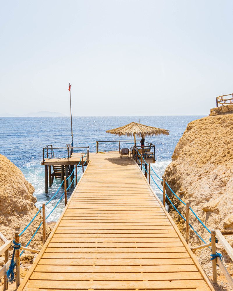 SHARM REEF - 41