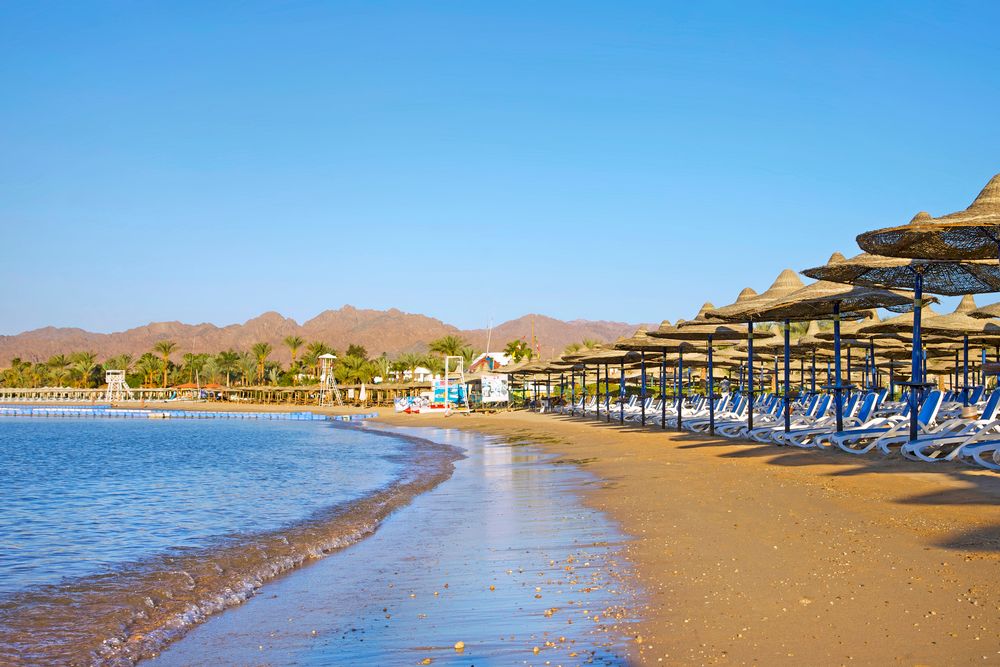 GAFY RESORT - 15