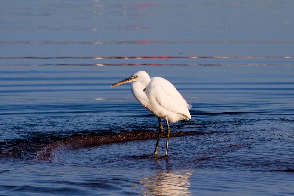 AURORA ORIENTAL RESORT - 12