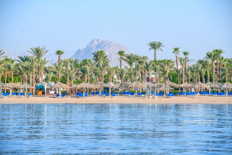 JAZ SHARM DREAMS RESORT - 5