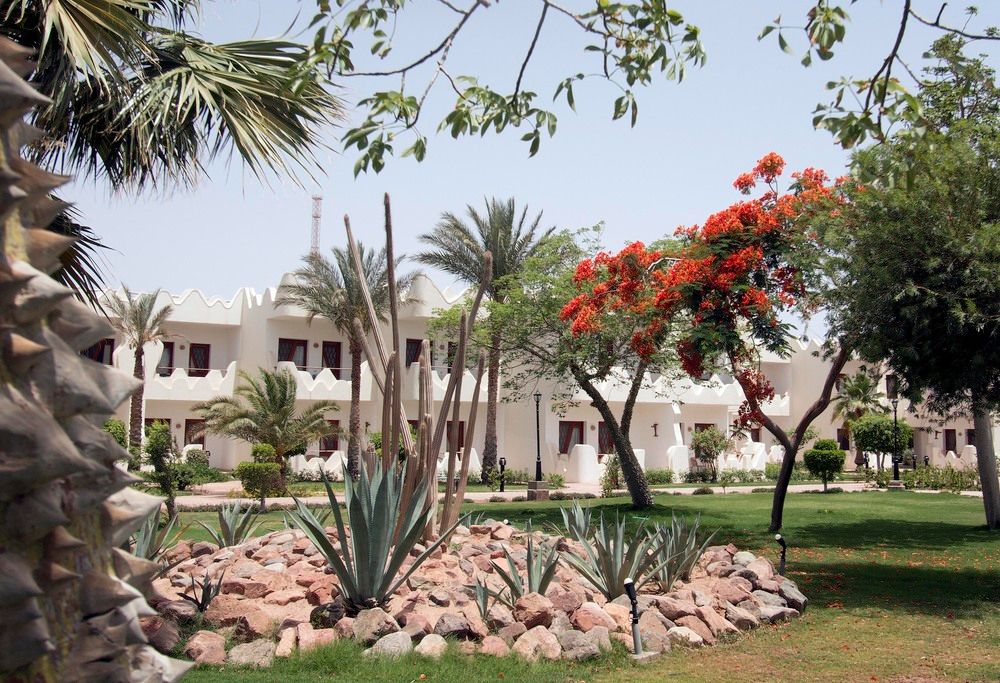 SWISS INN RESORT DAHAB - 11