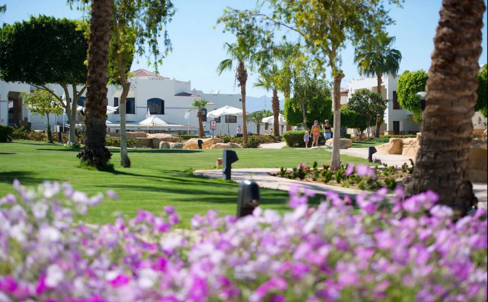 AMPHORAS BEACH (ex. SHORES AMPHORAS) - 5