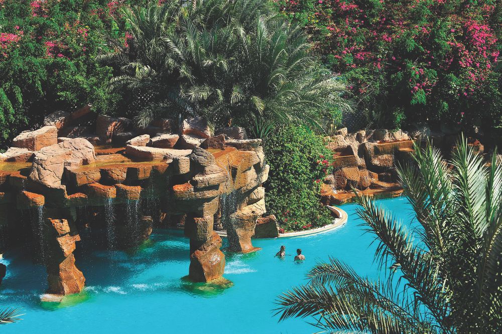 BARON PALMS (only adults 16) - 29