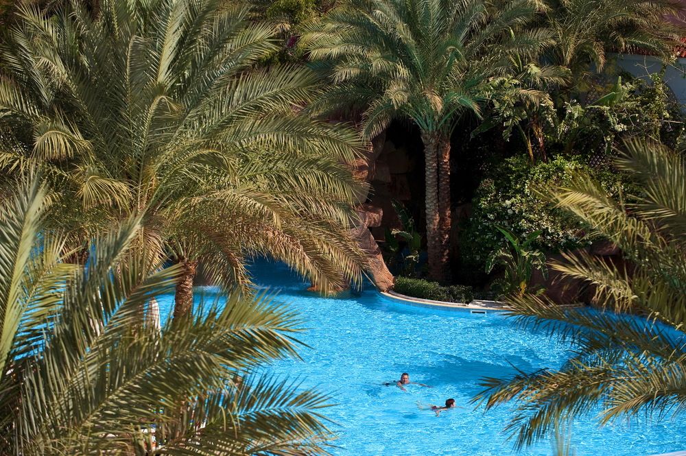 BARON PALMS (only adults 16) - 31