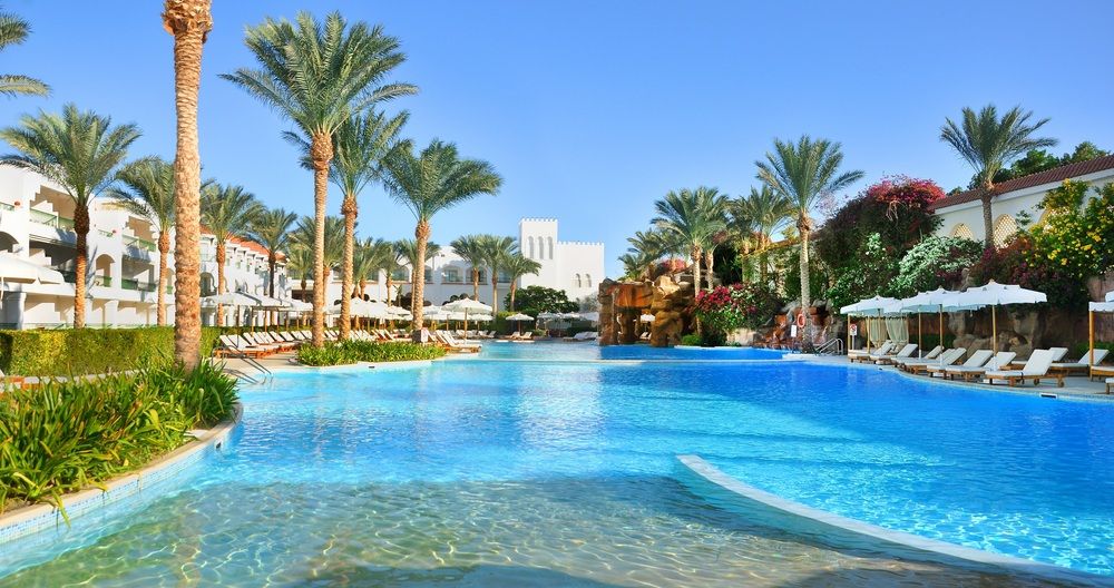 BARON PALMS (only adults 16) - 5