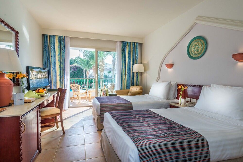 BARON PALMS (only adults 16) - 35