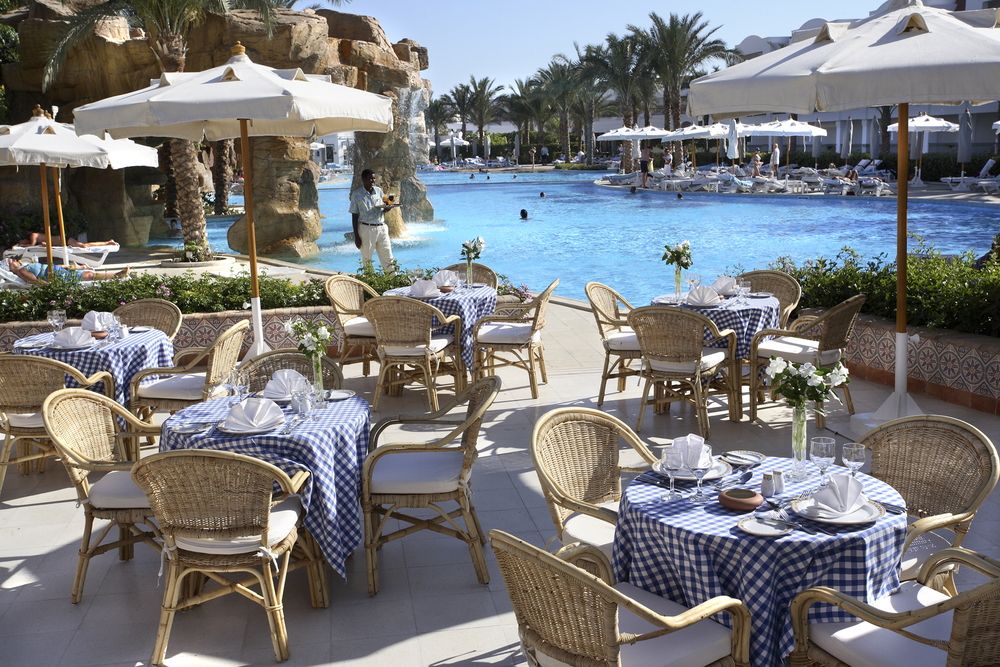 BARON PALMS (only adults 16) - 22