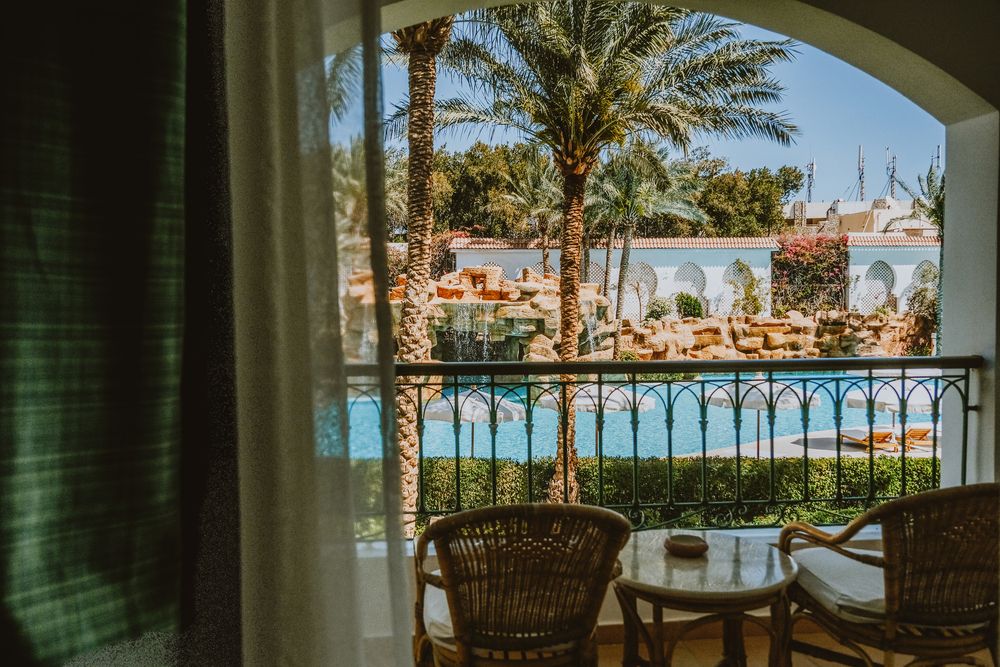 BARON PALMS (only adults 16) - 34