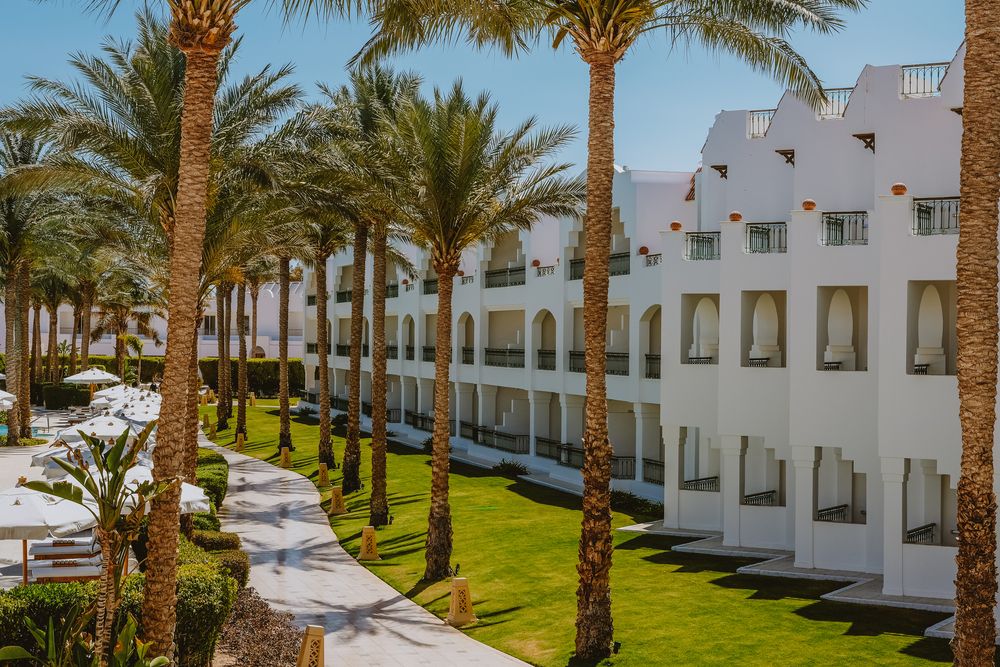 BARON PALMS (only adults 16) - 1