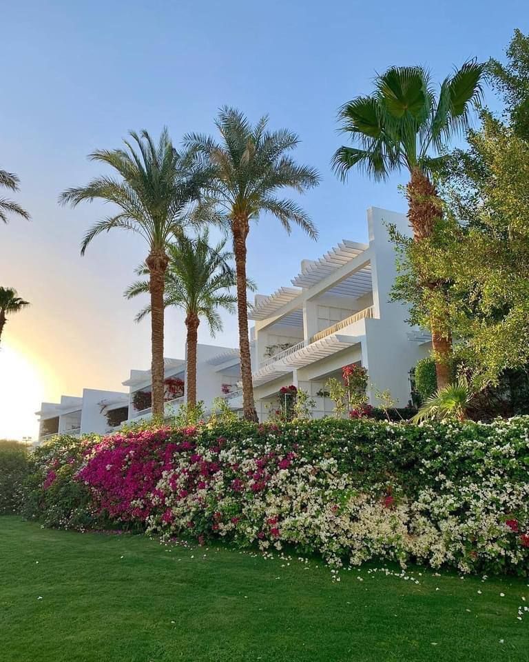 ROYAL MONTE CARLO - 1