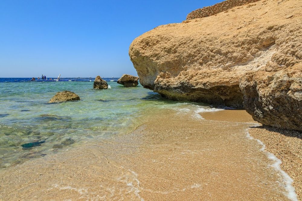 ROYAL MONTE CARLO - 10