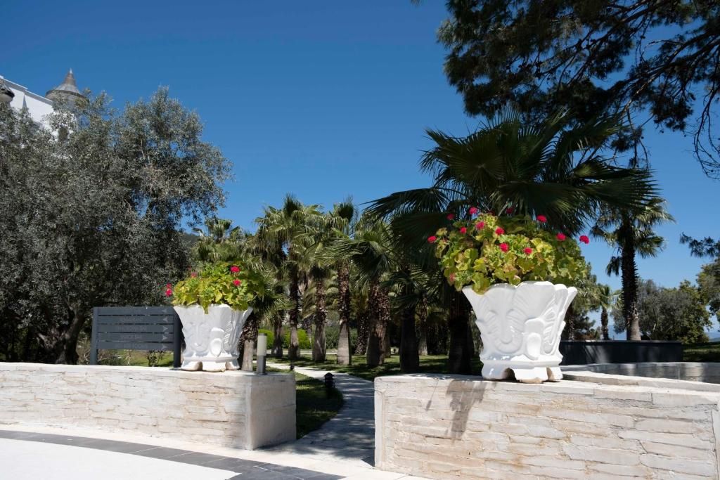 X Life Hotel (only adults 15+) - 13