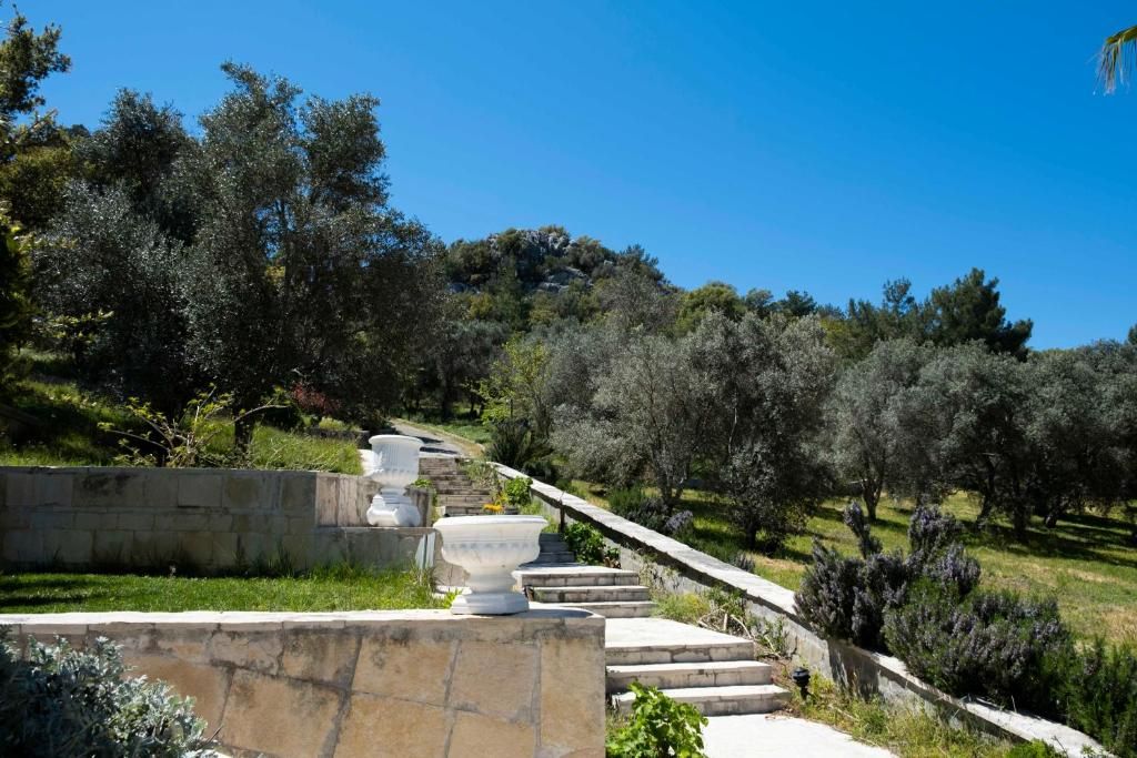 X Life Hotel (only adults 15+) - 11