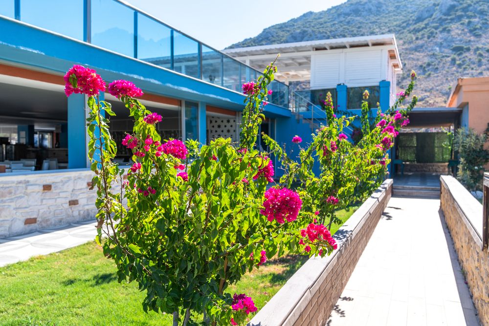 Fi Light Solto Beach Hotel - 8