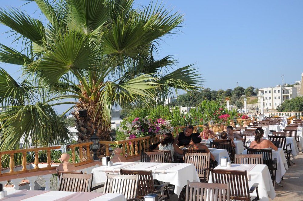 Phoenix Sun Hotel (ex. Palm Garden)  - 60