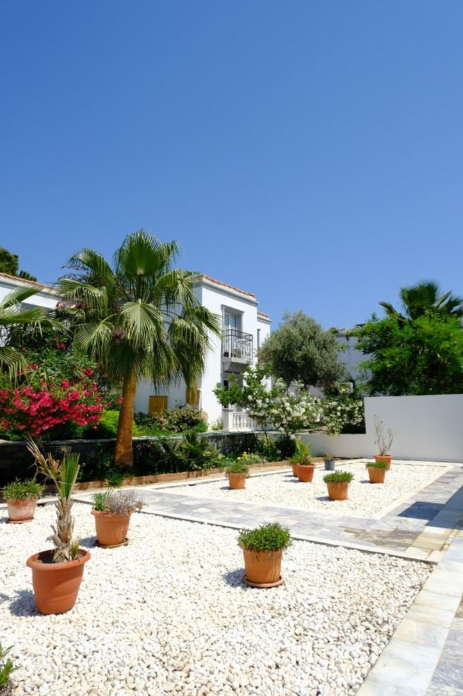 Phoenix Sun Hotel (ex. Palm Garden)  - 23