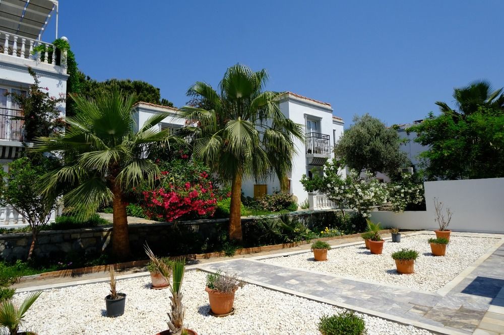 Phoenix Sun Hotel (ex. Palm Garden)  - 19