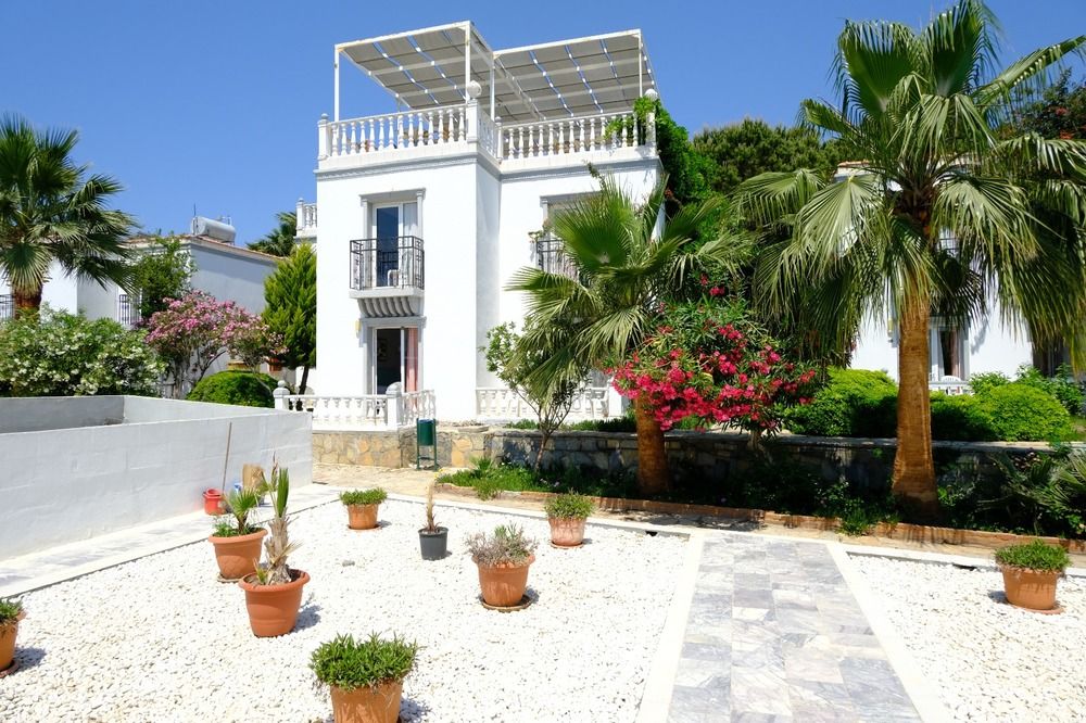 Phoenix Sun Hotel (ex. Palm Garden)  - 18