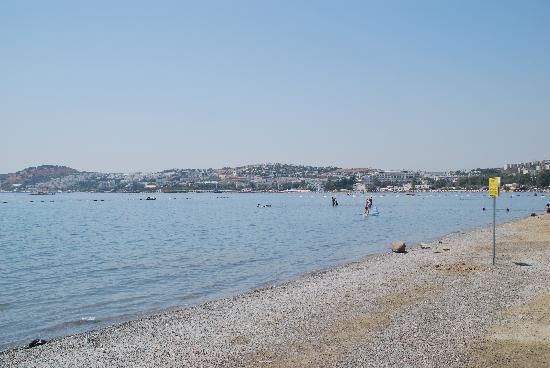 Phoenix Sun Hotel (ex. Palm Garden)  - 81