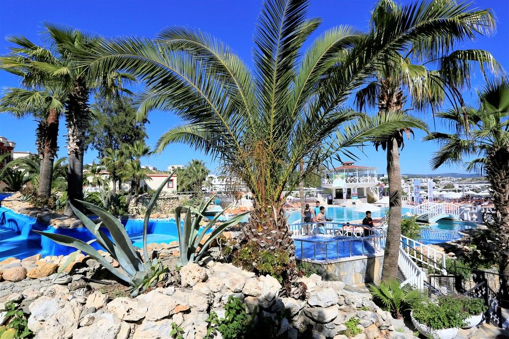 Phoenix Sun Hotel (ex. Palm Garden)  - 45