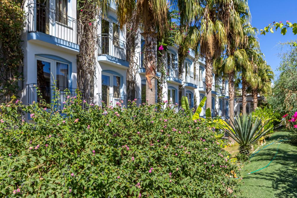 Smart Stay Beach Bodrum - 7