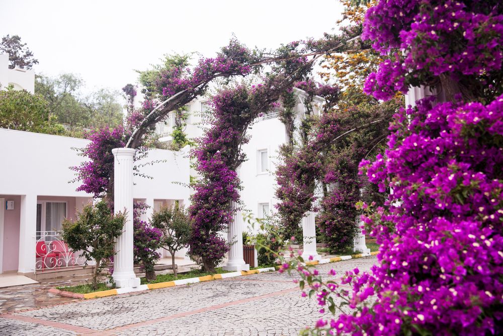 Kadikale Resort - 25