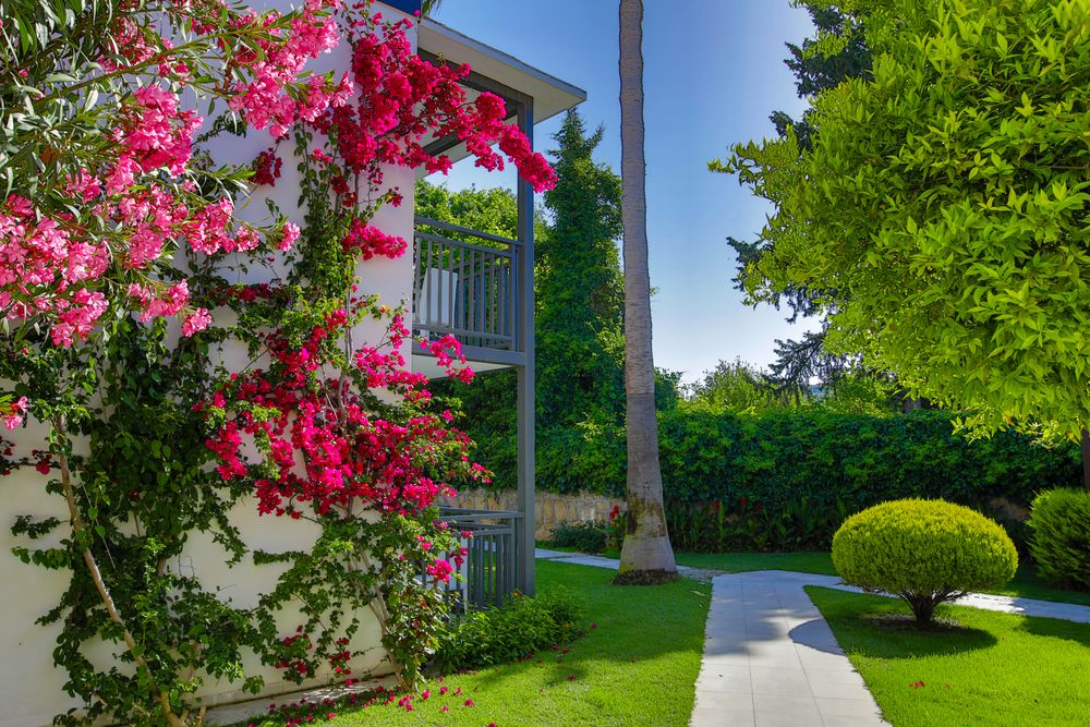 Bitez Garden Life Hotel - 12