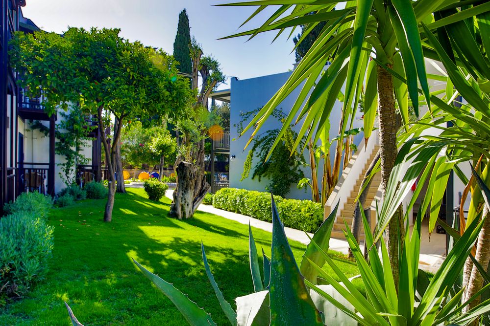 Bitez Garden Life Hotel - 10