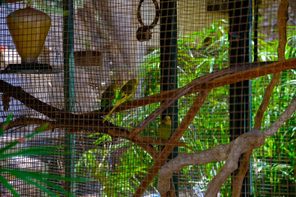 Oscar Seaside Hotel & Spa - 6