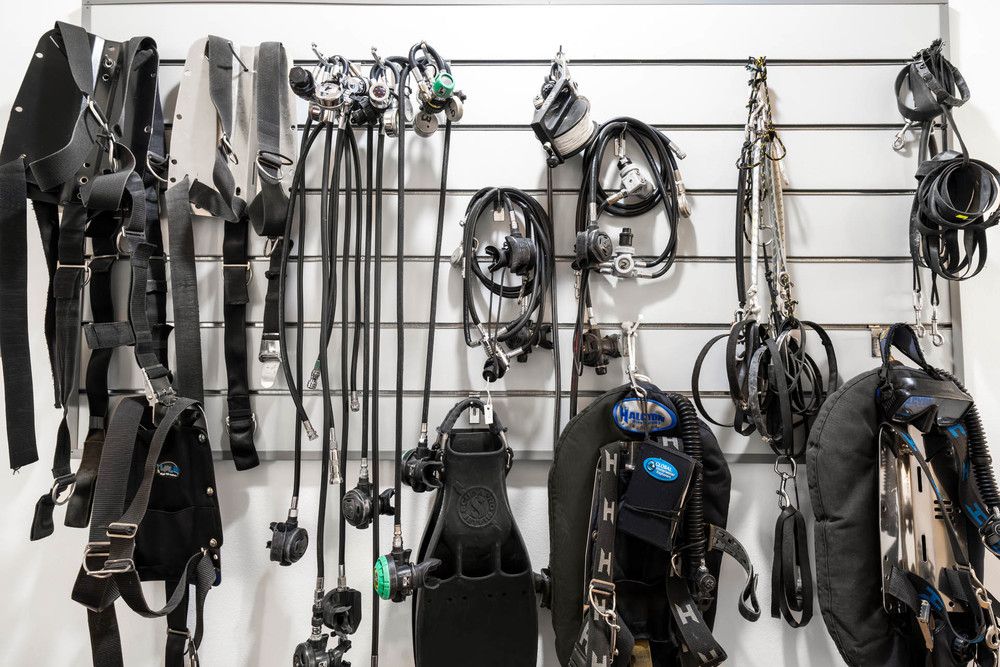 DOMINA CORAL BAY SULTAN POOL - 86