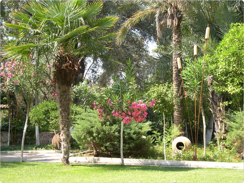 Paloma Marina Suites (only adults 16+) - 2