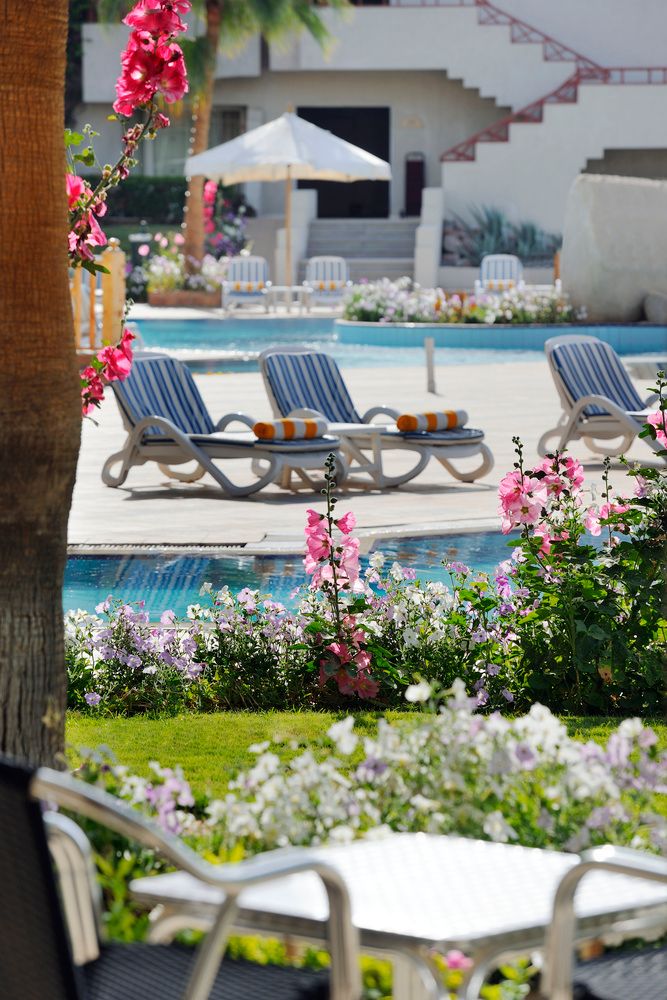 NAAMA BAY PROMENADE BEACH RESORT (ex. MARRIOT BEACH RESORT SSH) - 5