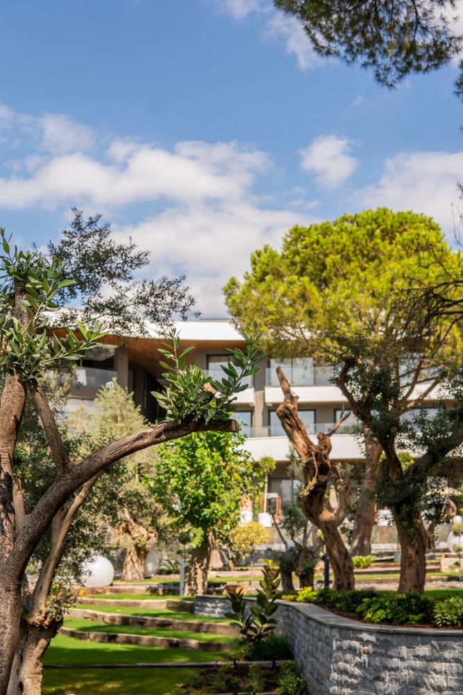 Unique Life Style Hotels - 5