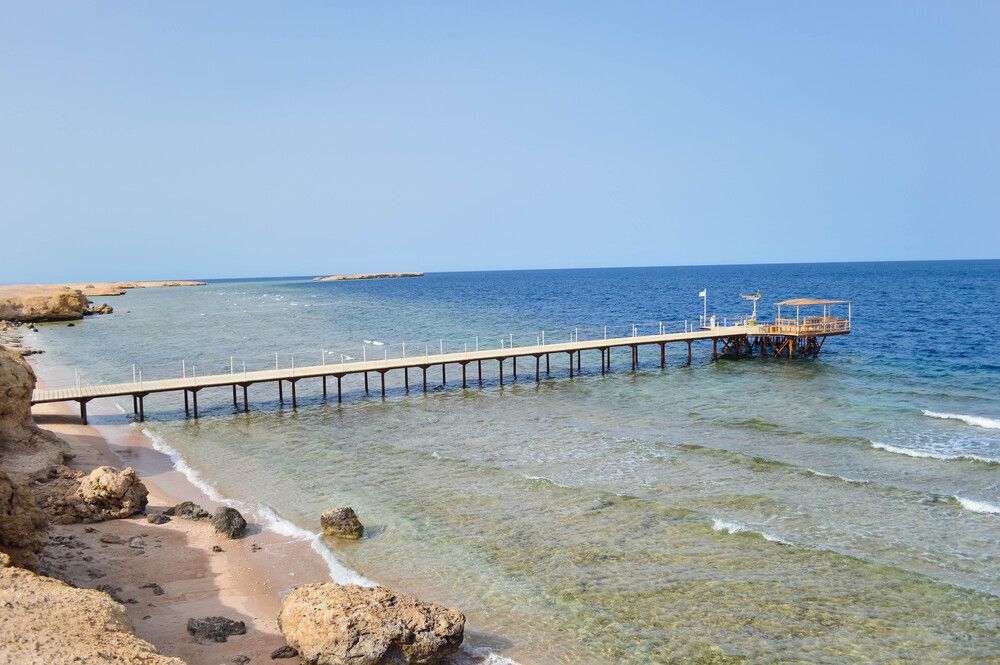 VIVA BLUE RESORT SOMA BAY (only adults 12+) - 31