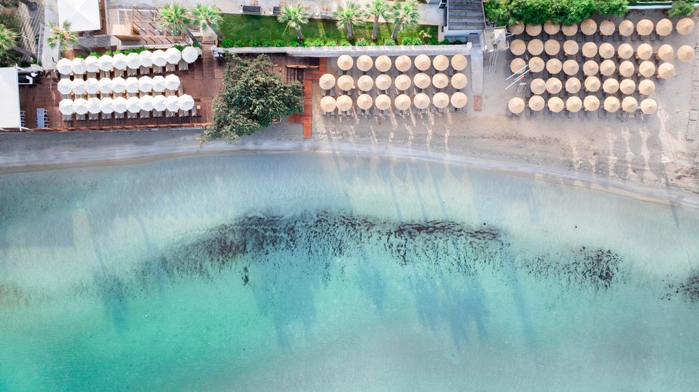 Agaya Didim Resort Hotel (ex. Prive Hotel Didim) - 14