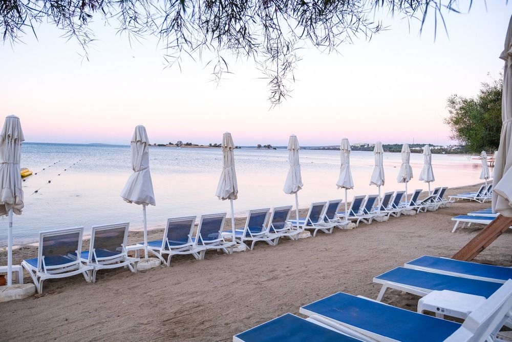 Maxeria Blue Didyma - 3