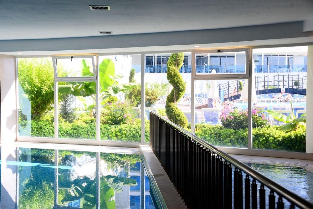 Maxeria Blue Didyma - 32