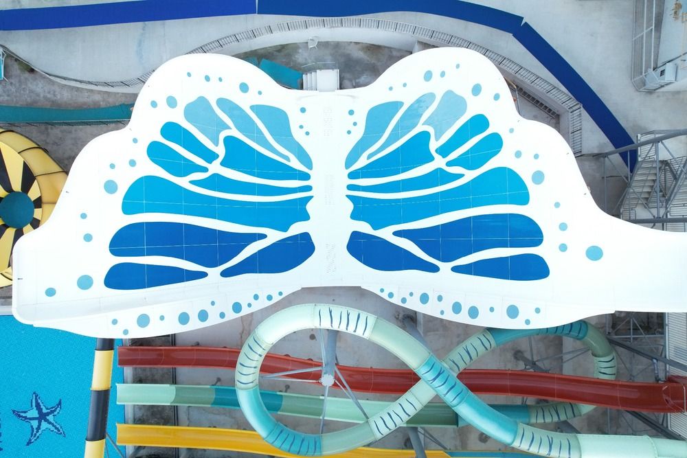 Maxeria Blue Didyma - 25