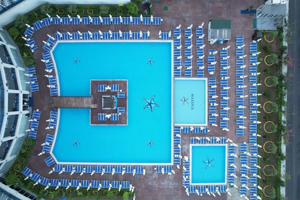 Maxeria Blue Didyma - 7