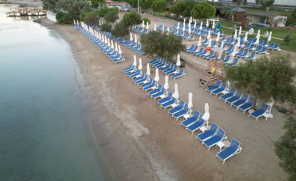 Maxeria Blue Didyma - 5