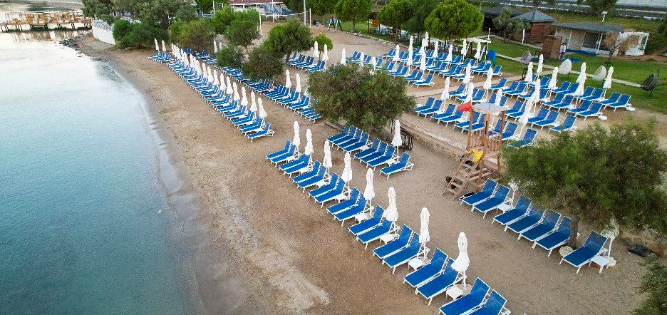 Maxeria Blue Didyma - 6