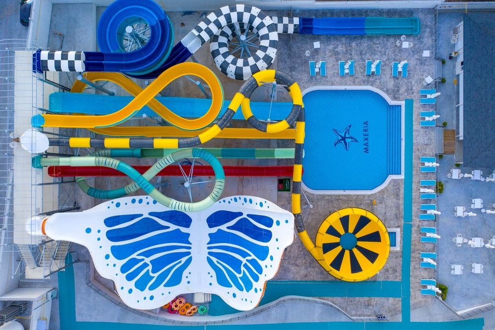 Maxeria Blue Didyma - 23