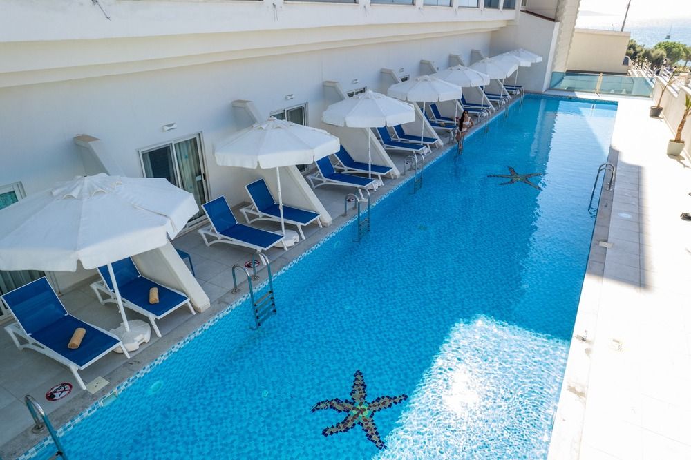 Maxeria Blue Didyma - 27