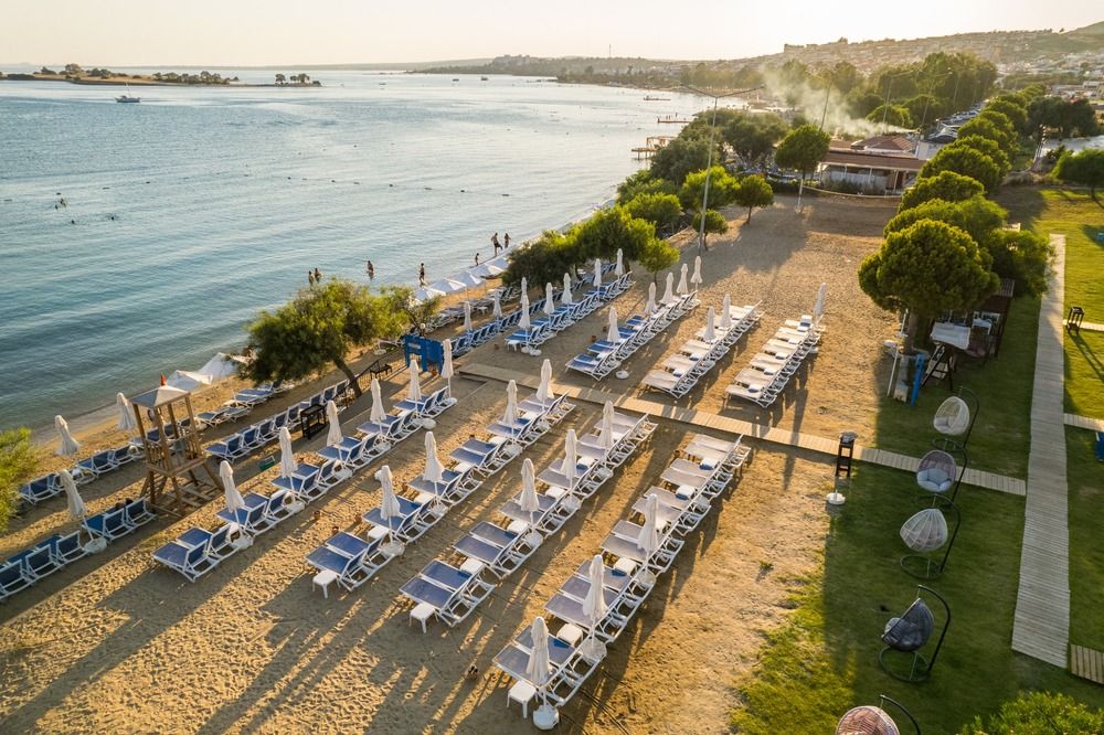 Maxeria Blue Didyma - 4